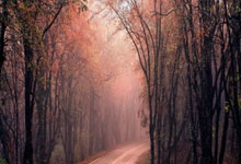 leyu乐鱼体育中国-库里不敌之夜：数据之下，暗藏玄机还是时代警钟？