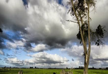 乐鱼体育官网网页版-终极剧本杀！欧洲杯预选赛生死簿：谁将跨过最后一关？