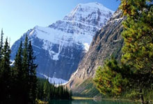 乐鱼官网-小米兰的梦幻征程——从局外人到美洲杯王者